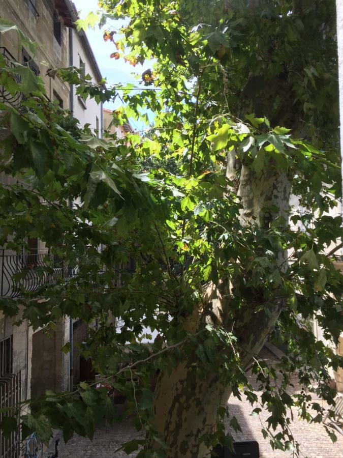Studio Plaisance Avignon Eksteriør bilde